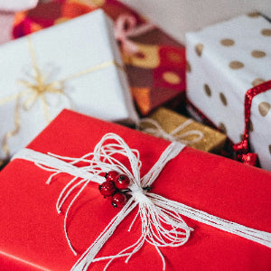 Holiday Gift for baby and toddler